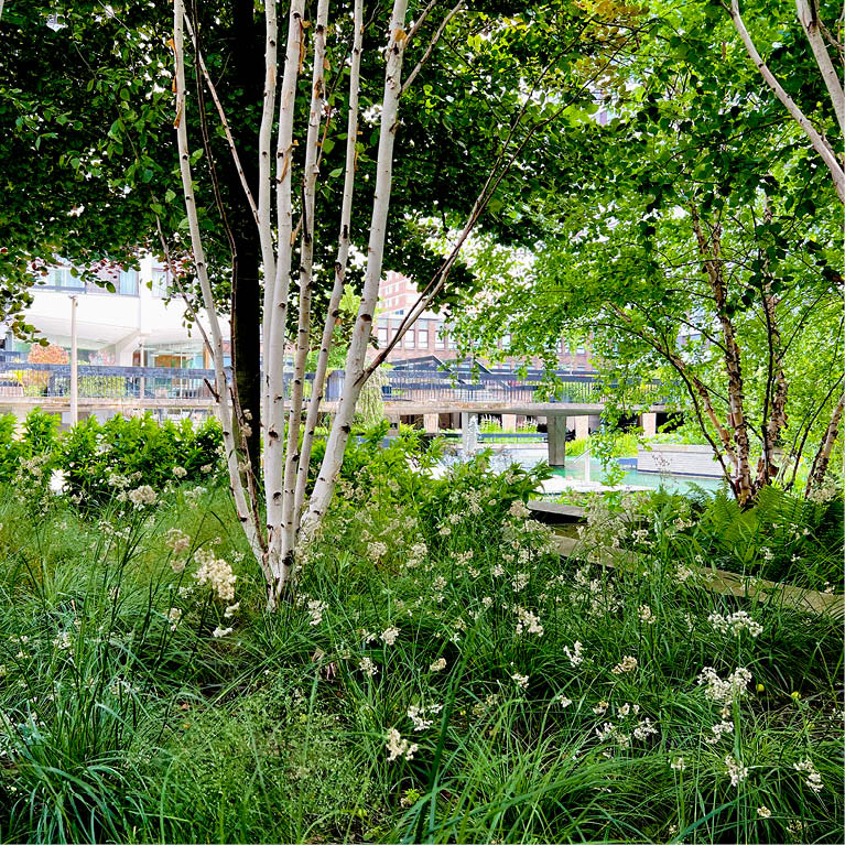 water gardens spring summer