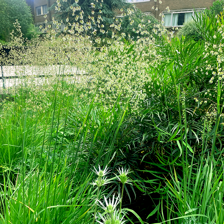 Water Gardens