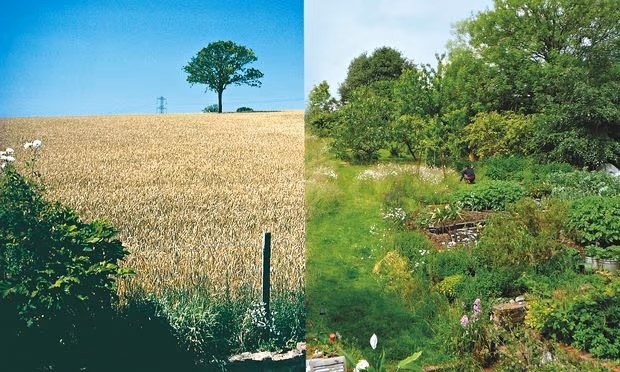 edible gardens