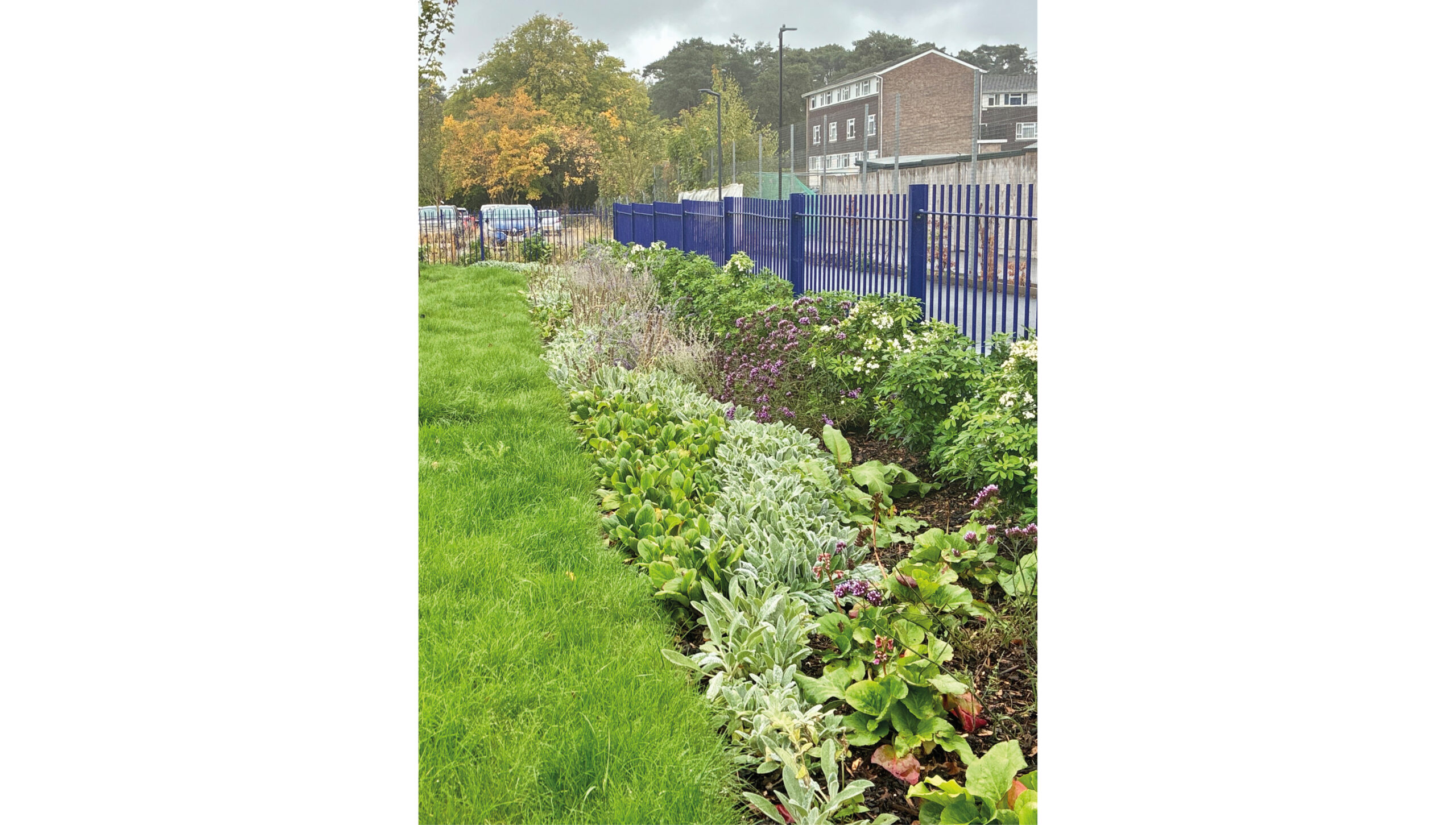 Rich planting and lawn