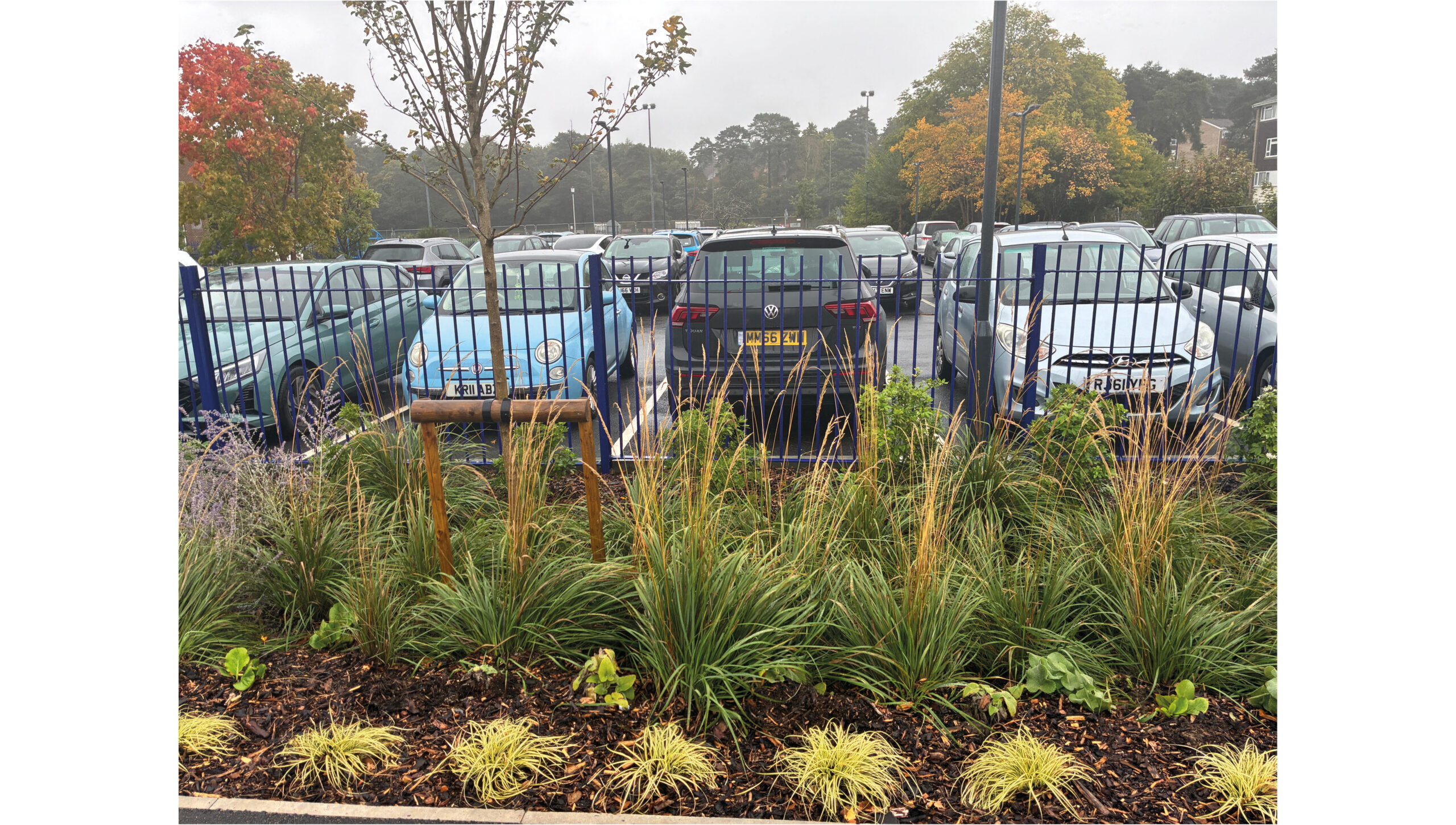 Rain Garden edged Carpark